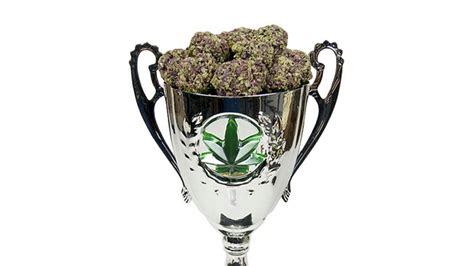 Most patients don't have the time or money to worry about growing, but those who do should have the option of growing a limited number of plants (12 IMO. . Pk trophy leafly